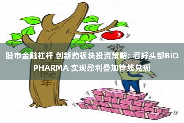 股市金融杠杆 创新药板块投资策略: 看好头部BIOPHARMA 实现盈利叠加管线兑现