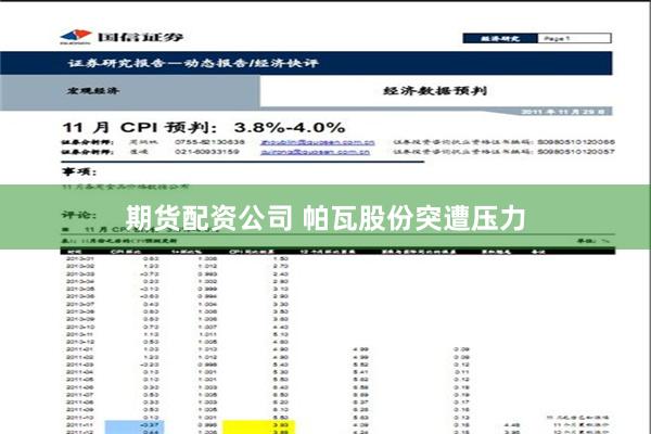 期货配资公司 帕瓦股份突遭压力