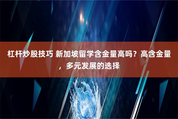 杠杆炒股技巧 新加坡留学含金量高吗？高含金量，多元发展的选择