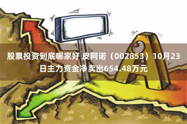 股票投资到底哪家好 皮阿诺（002853）10月23日主力资金净卖出654.48万元