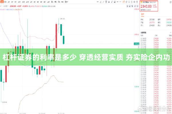 杠杆证券的利率是多少 穿透经营实质 夯实险企内功