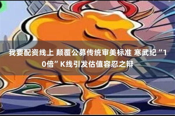 我要配资线上 颠覆公募传统审美标准 寒武纪“10倍”K线引发估值容忍之辩