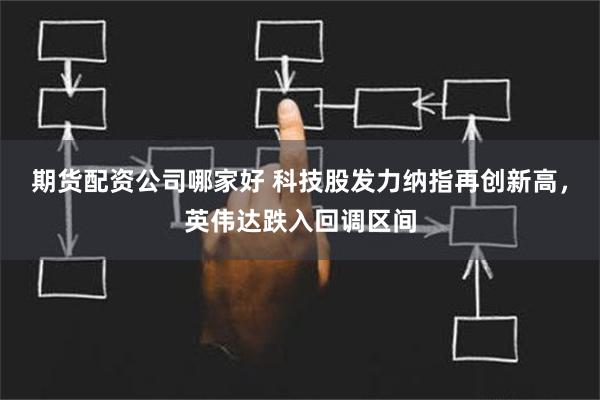 期货配资公司哪家好 科技股发力纳指再创新高，英伟达跌入回调区间